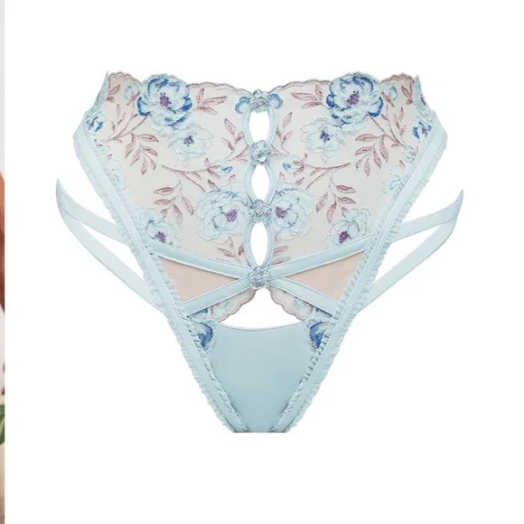 ~ SOLD ~ For Love and Lemons Sorbet Rose 2pc Bralette & Cheeky Panty Set - Picture 9 of 10